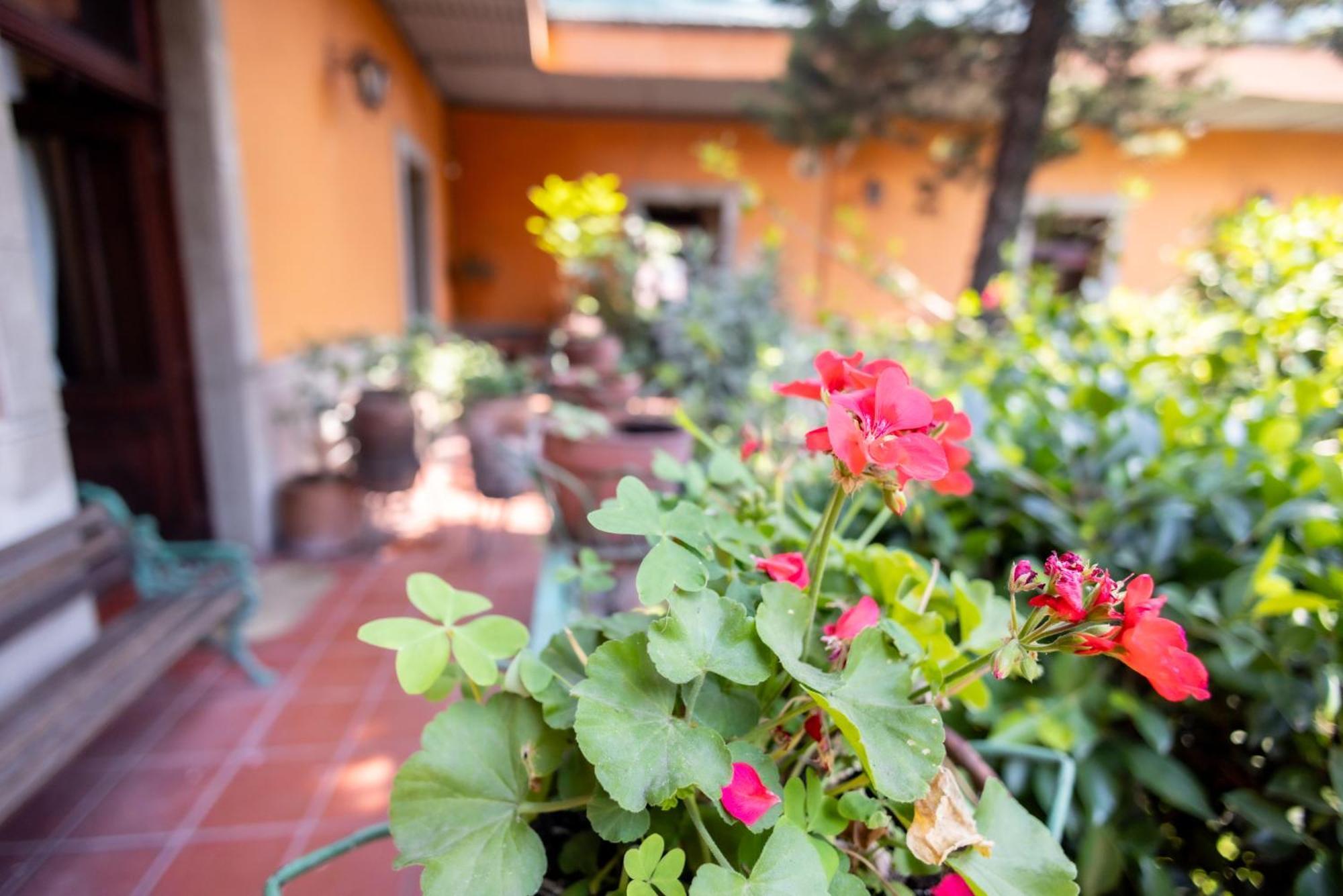 Hacienda Gobernadores Mexico Extérieur photo